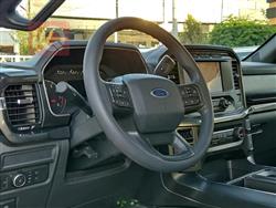 فۆرد F-150